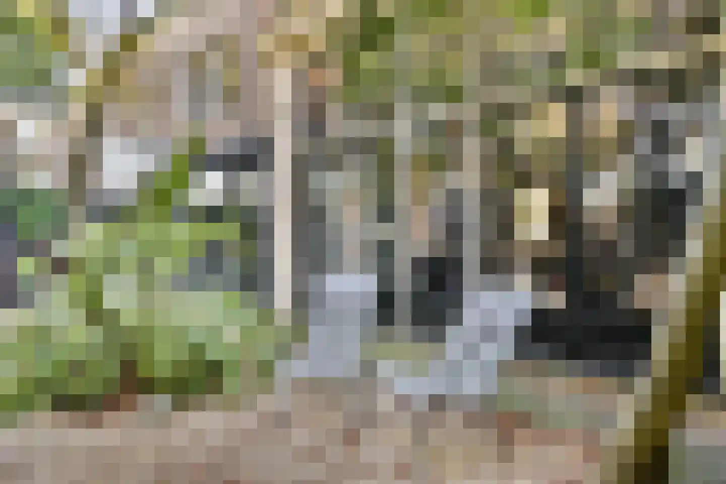 Plantage 2 Leiden thumbnail 32