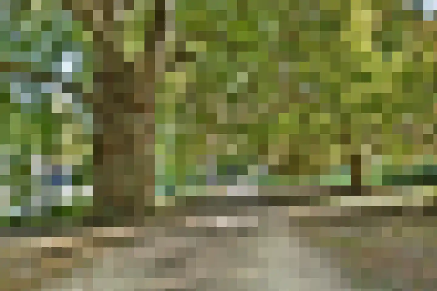 Plantage 2 Leiden thumbnail 36