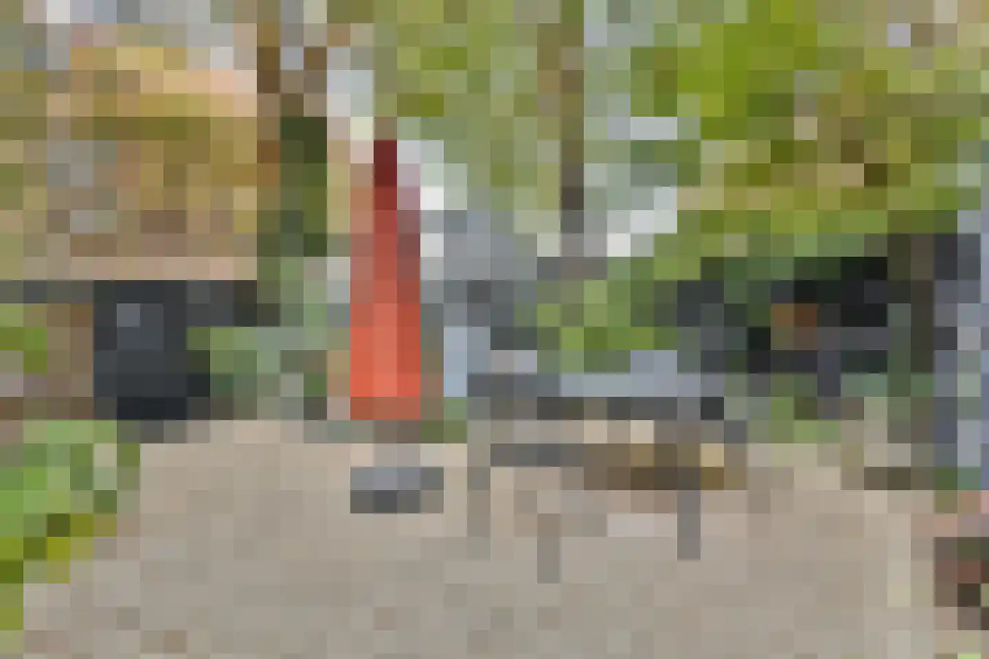 Plantage 2 Leiden thumbnail 4