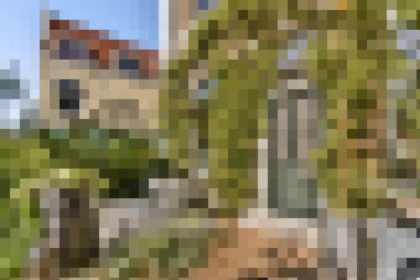 Plantage 2 Leiden thumbnail 7