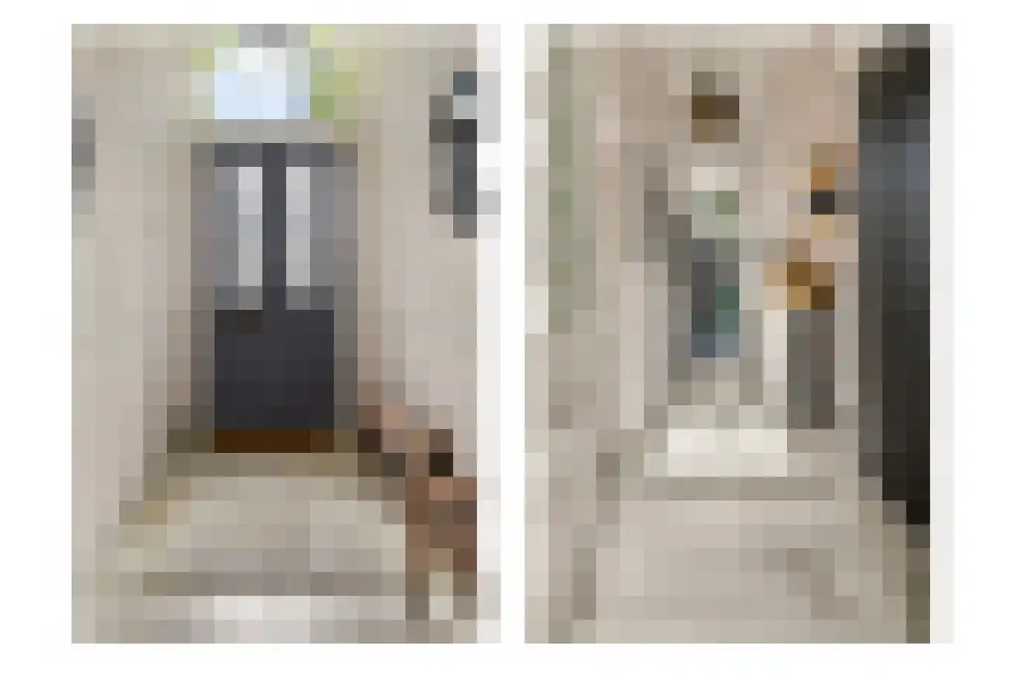 Plantage 2 Leiden thumbnail 8