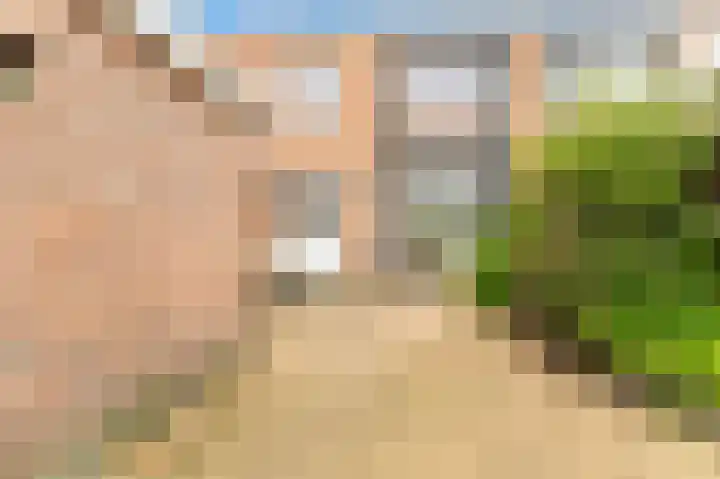 Plantage 201 Beverwijk thumbnail 23