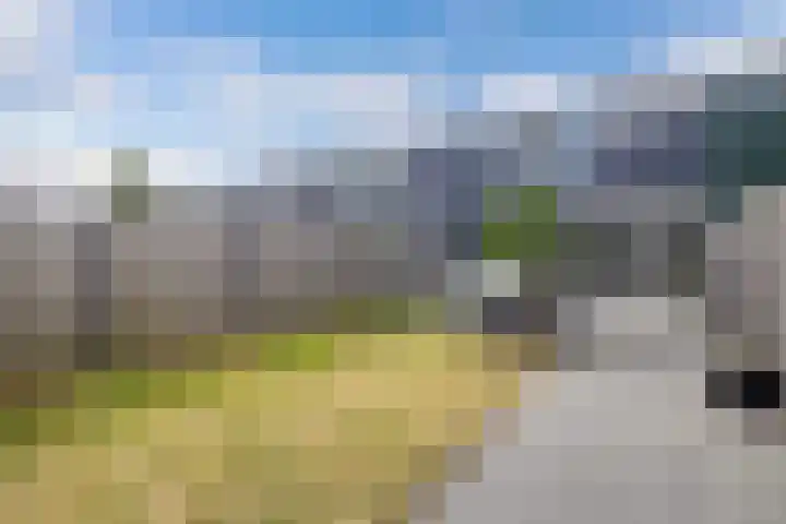 Plantage 211 Lelystad thumbnail 22