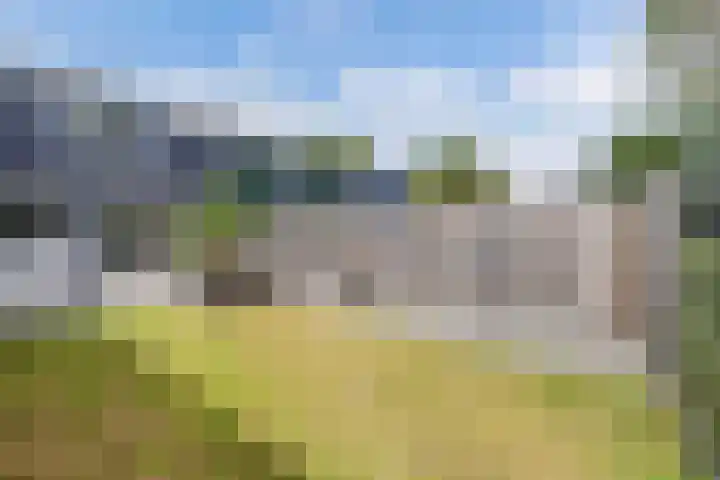 Plantage 211 Lelystad thumbnail 23