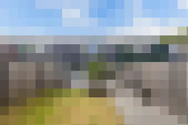 Plantage 211 Lelystad thumbnail 24