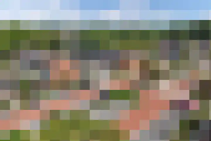 Plantage 211 Lelystad thumbnail 37