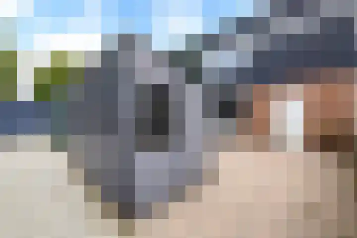 Plantage 211 Lelystad thumbnail 4