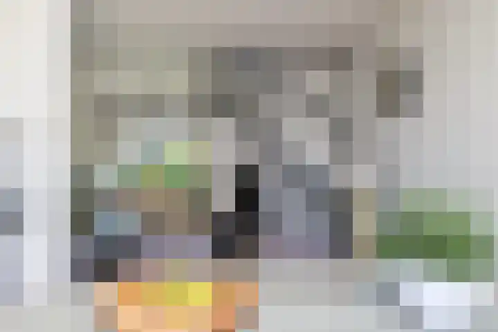 Plantage 23 Blokker thumbnail 15