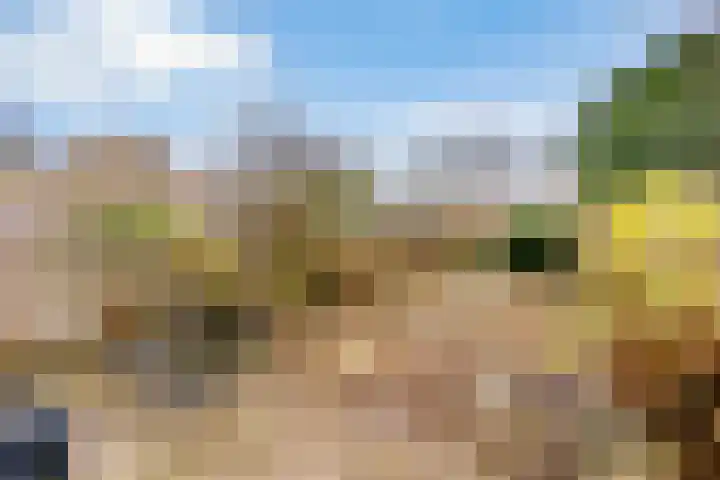 Plantage 23 Lelystad thumbnail 23