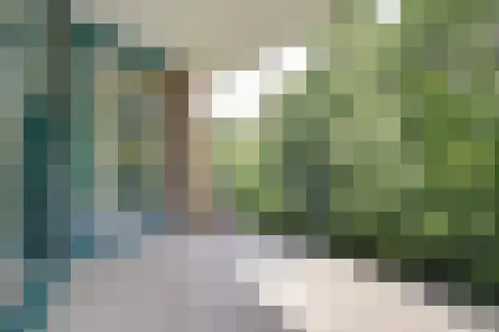 Plantage 27 Krimpen aan den IJssel thumbnail 22