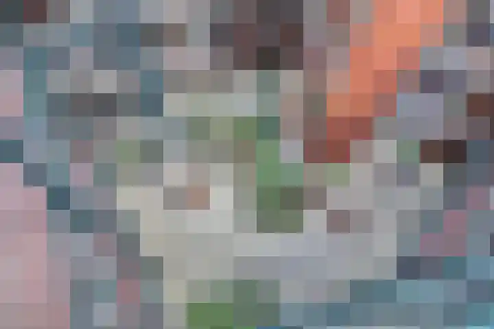 Plantage 27 Krimpen aan den IJssel thumbnail 26