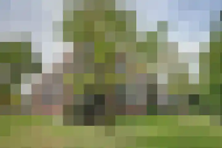 Plantage 27 Krimpen aan den IJssel thumbnail 28