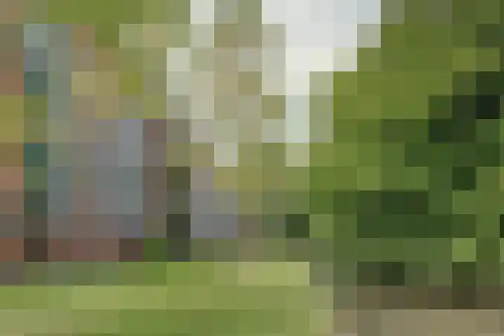 Plantage 27 Krimpen aan den IJssel thumbnail 29