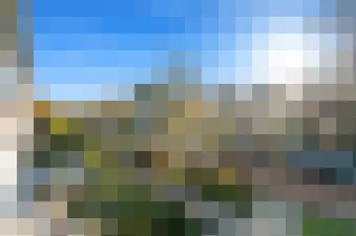 Plantage 27 Maasland thumbnail 24
