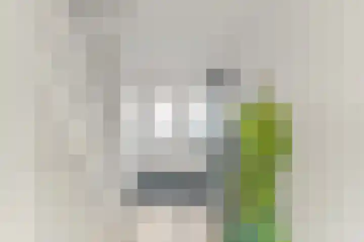 Plantage 27 Maasland thumbnail 7