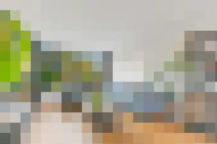Plantage 27 Maasland thumbnail 9