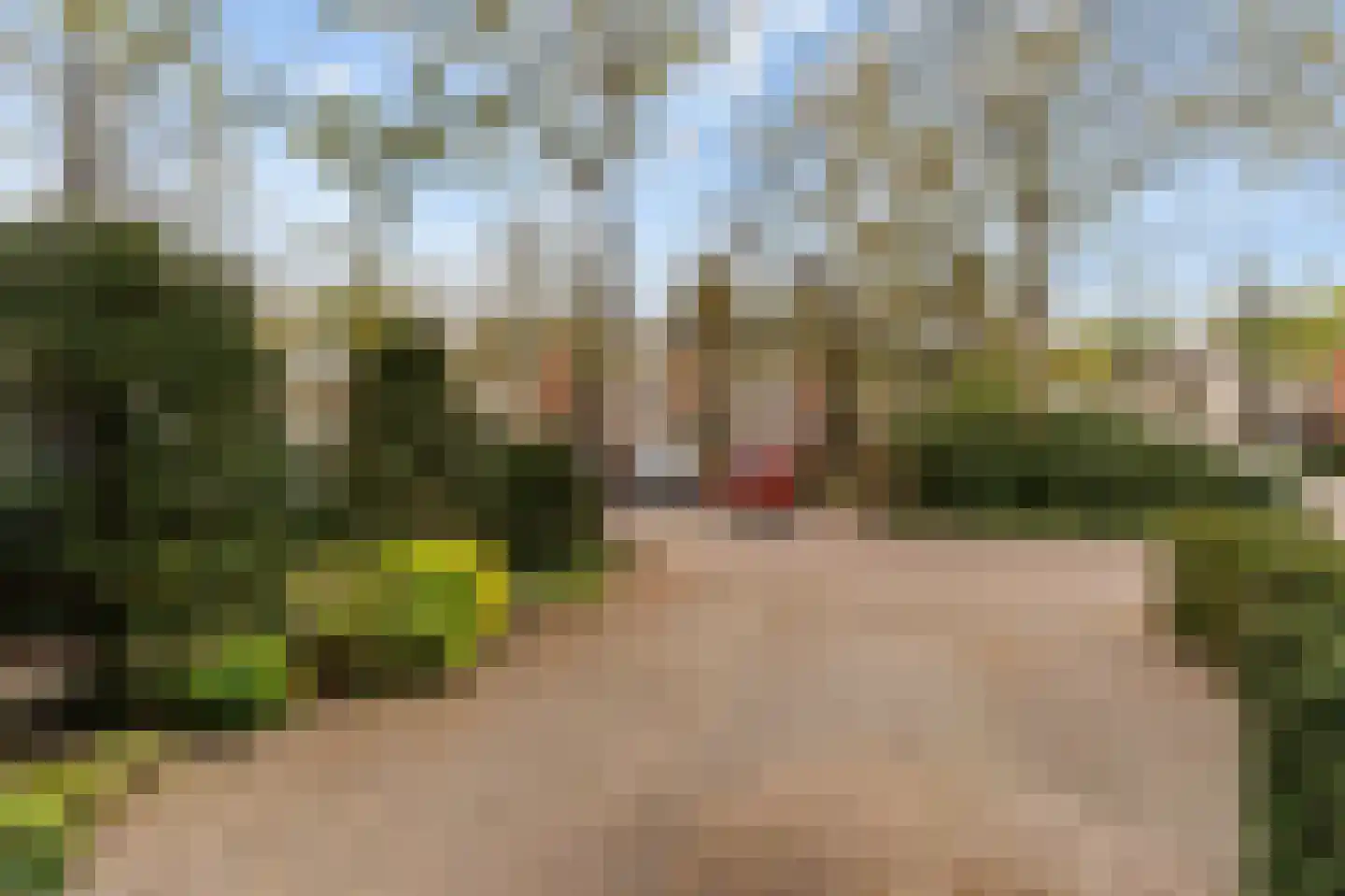 Plantage 28 Baarn thumbnail 24