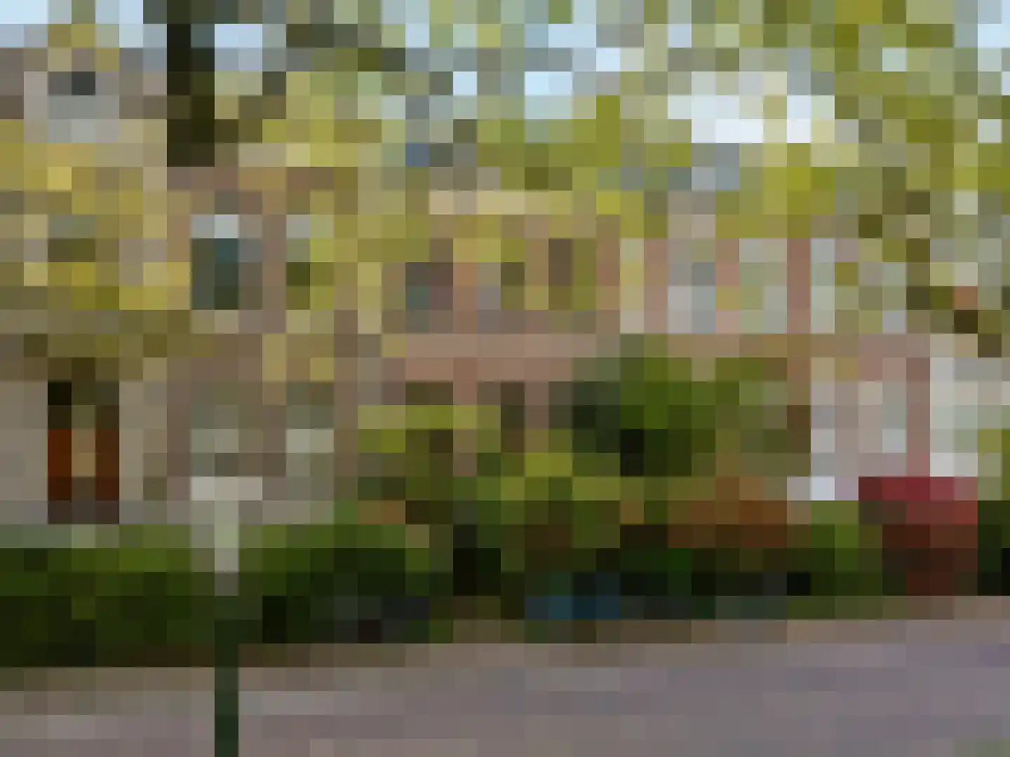 Plantage 3 Leiden thumbnail 33