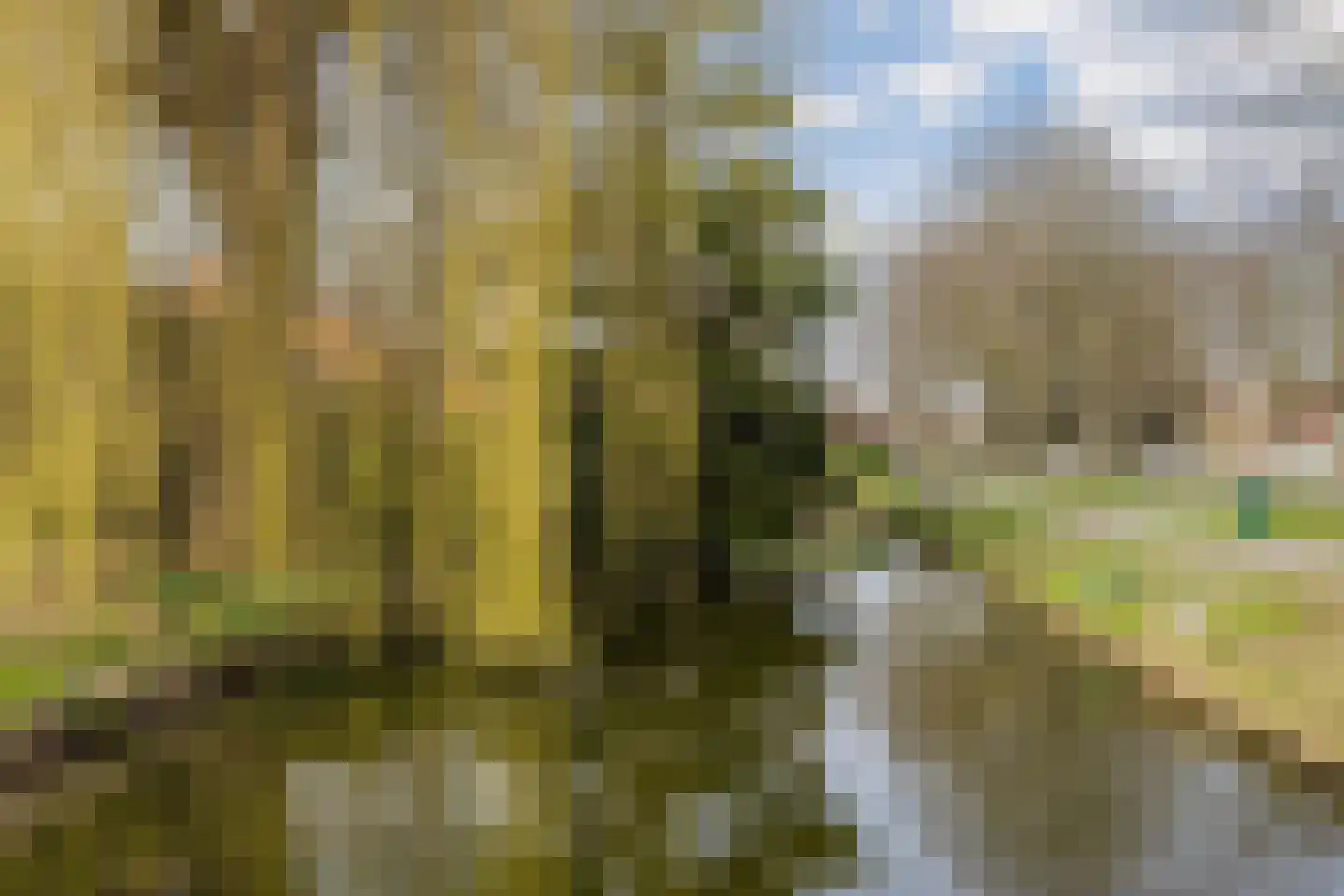 Plantage 31 Maasland thumbnail 38