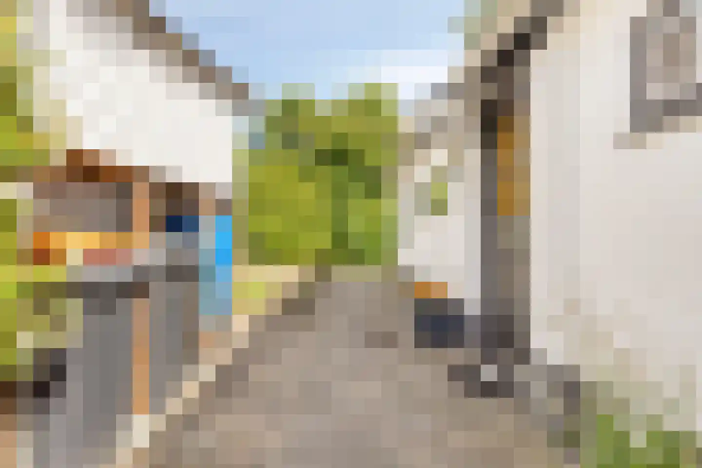 Plantage 36 Bruinisse thumbnail 10