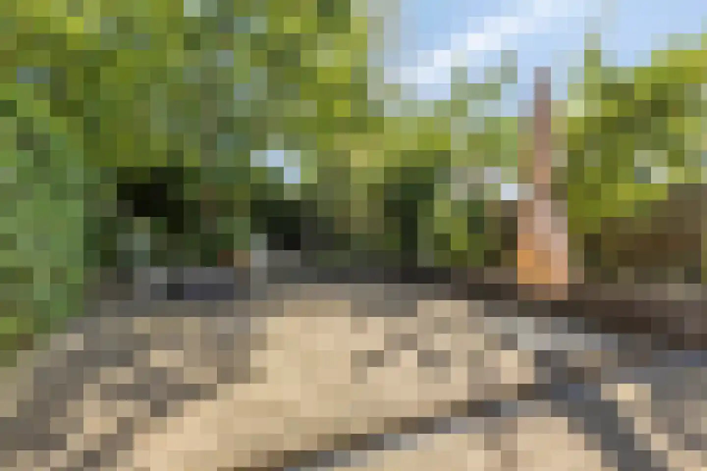 Plantage 36 Bruinisse thumbnail 30
