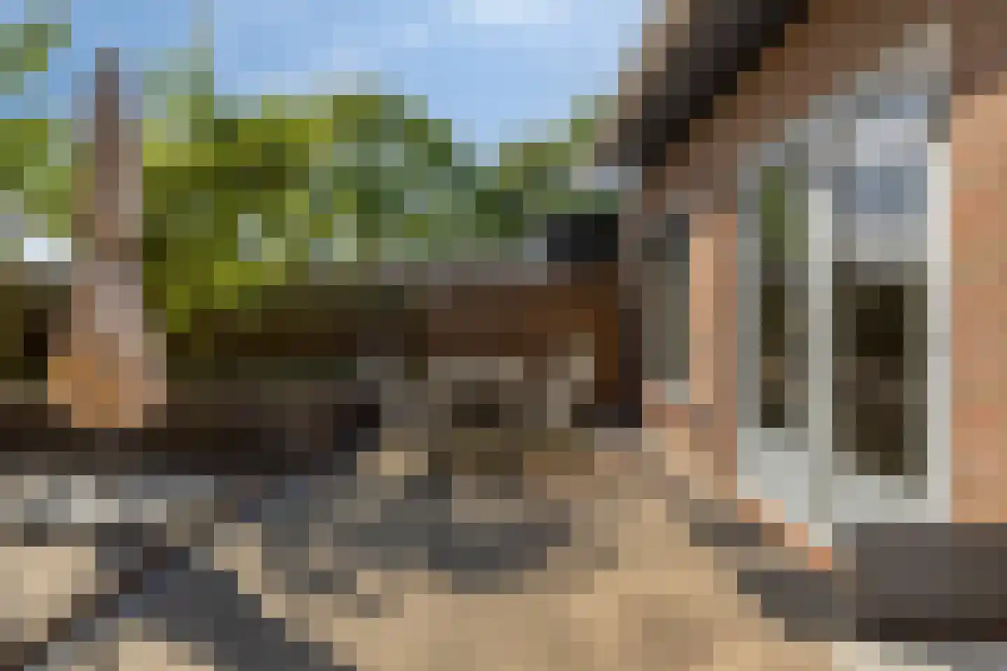 Plantage 36 Bruinisse thumbnail 31