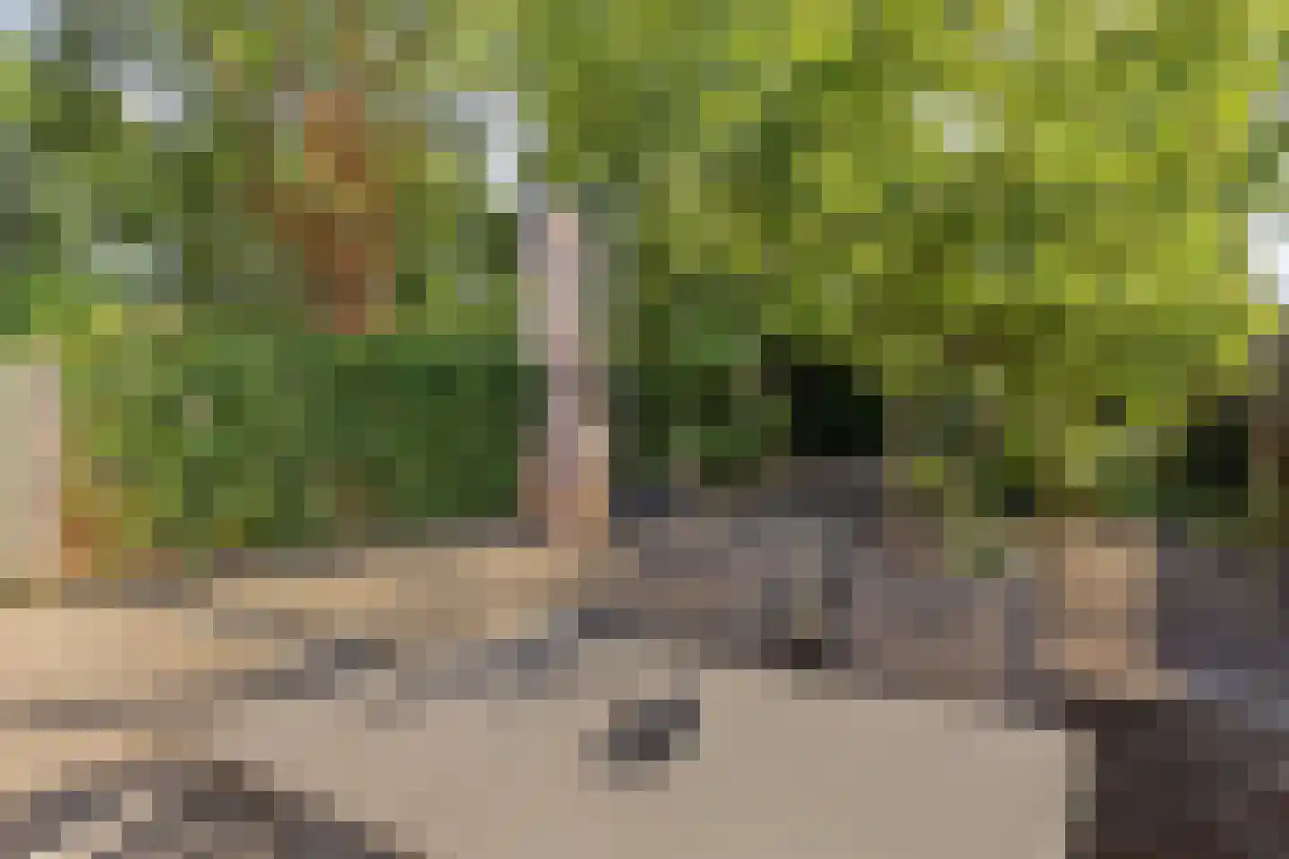 Plantage 36 Bruinisse thumbnail 32