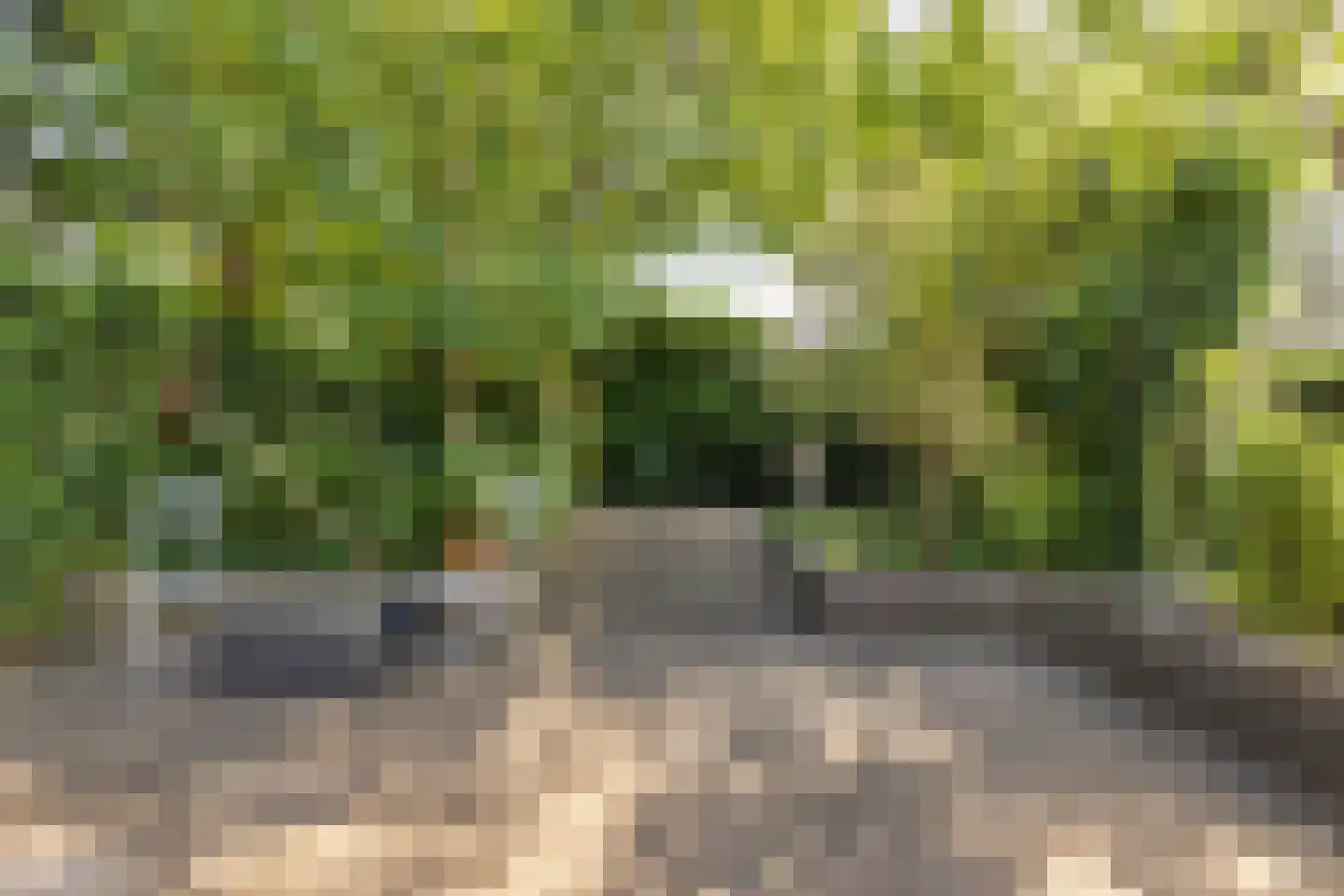 Plantage 36 Bruinisse thumbnail 33