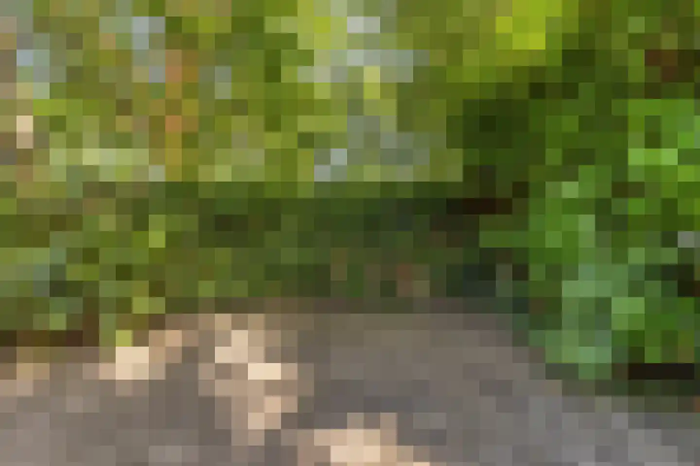 Plantage 36 Bruinisse thumbnail 34