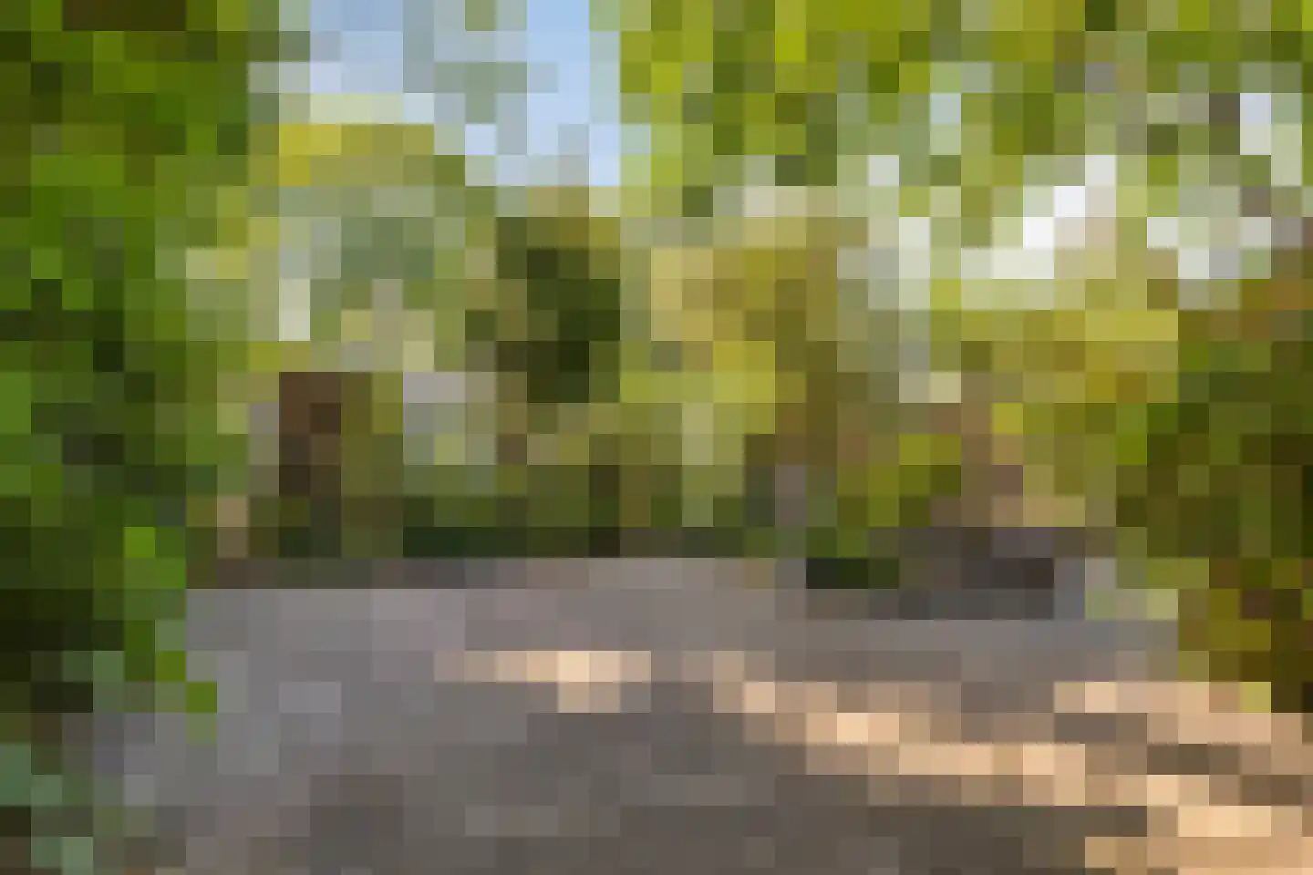 Plantage 36 Bruinisse thumbnail 35