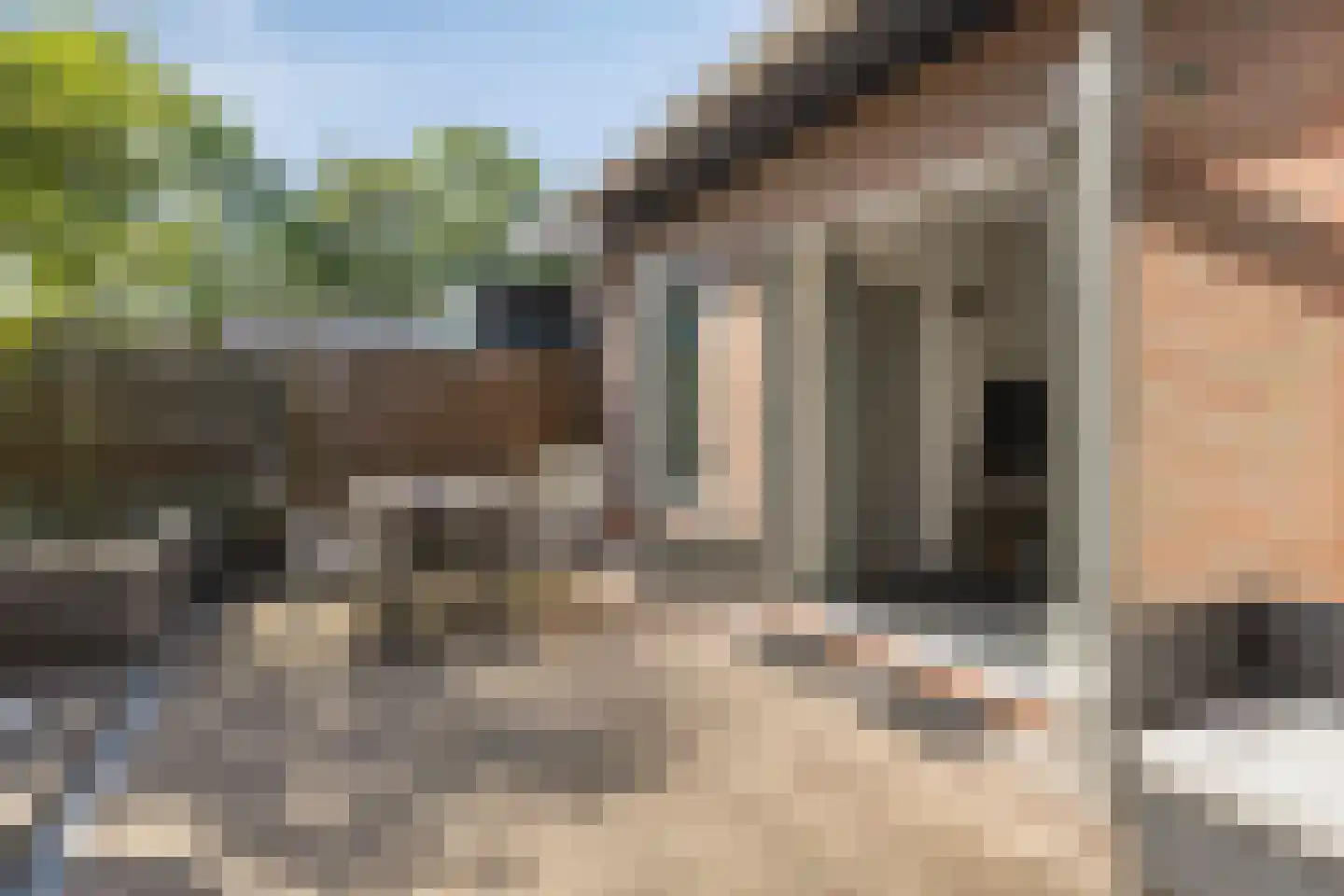 Plantage 36 Bruinisse thumbnail 39