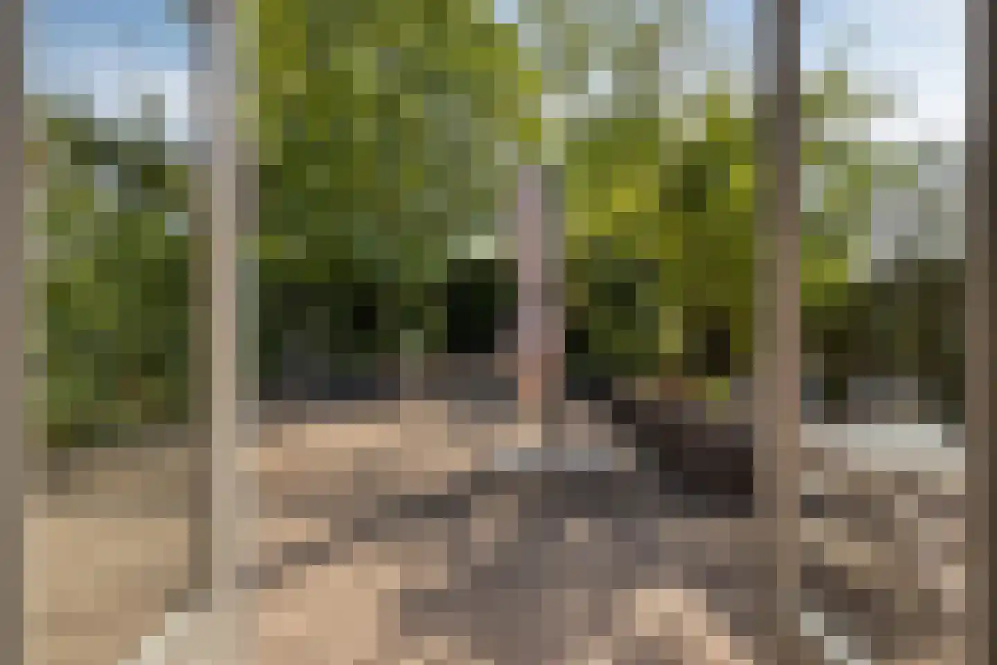 Plantage 36 Bruinisse thumbnail 4