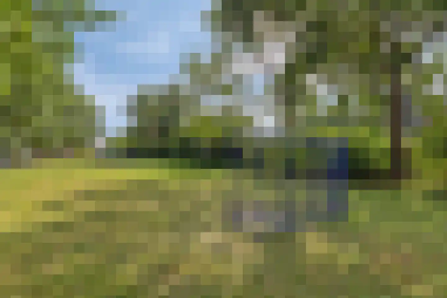 Plantage 36 Bruinisse thumbnail 41