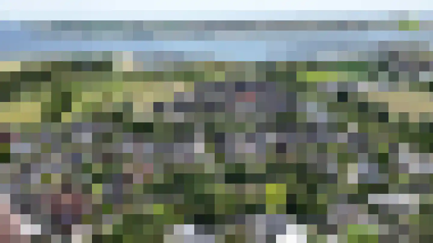 Plantage 36 Bruinisse thumbnail 5