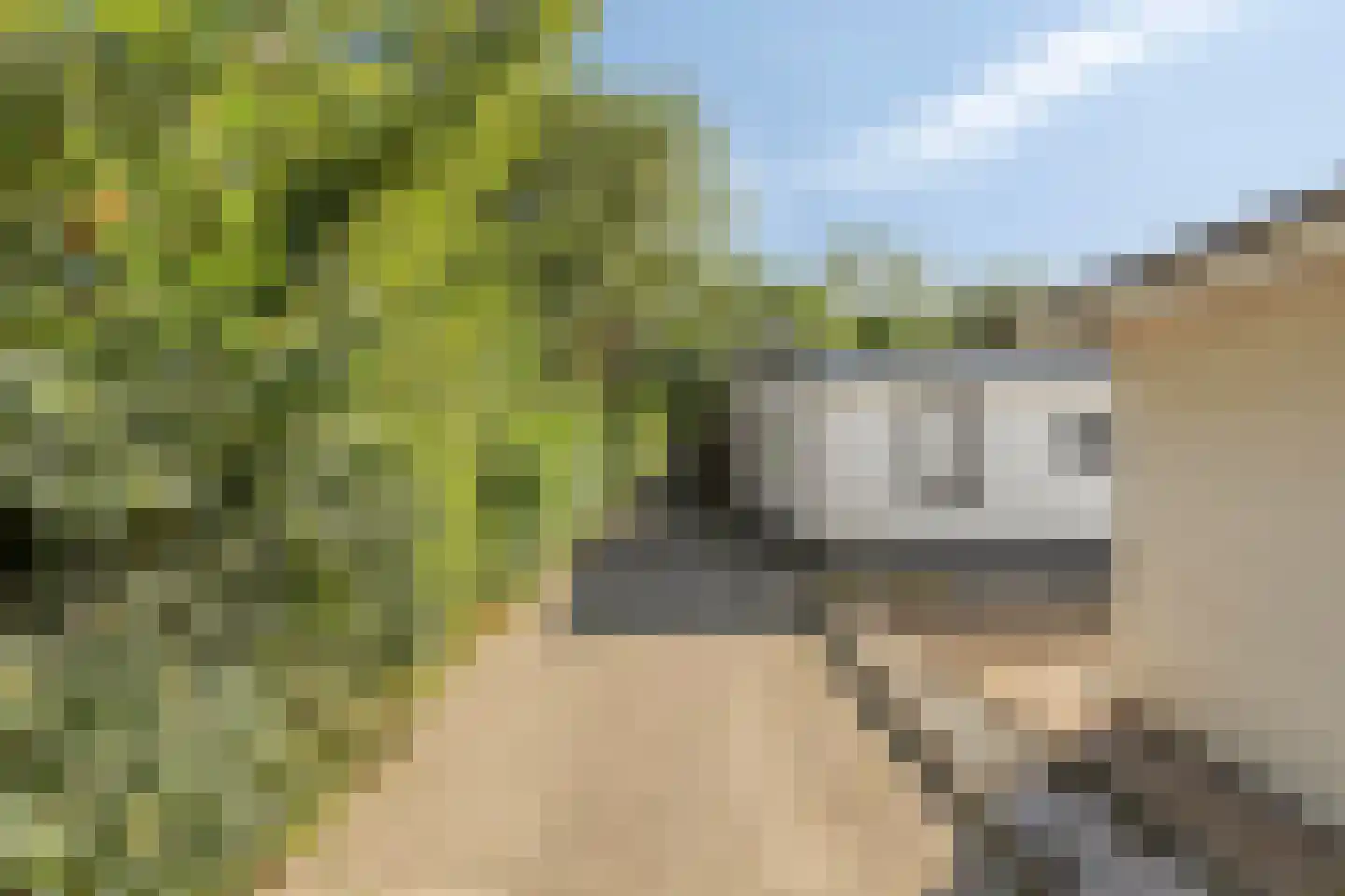 Plantage 36 Bruinisse thumbnail 6