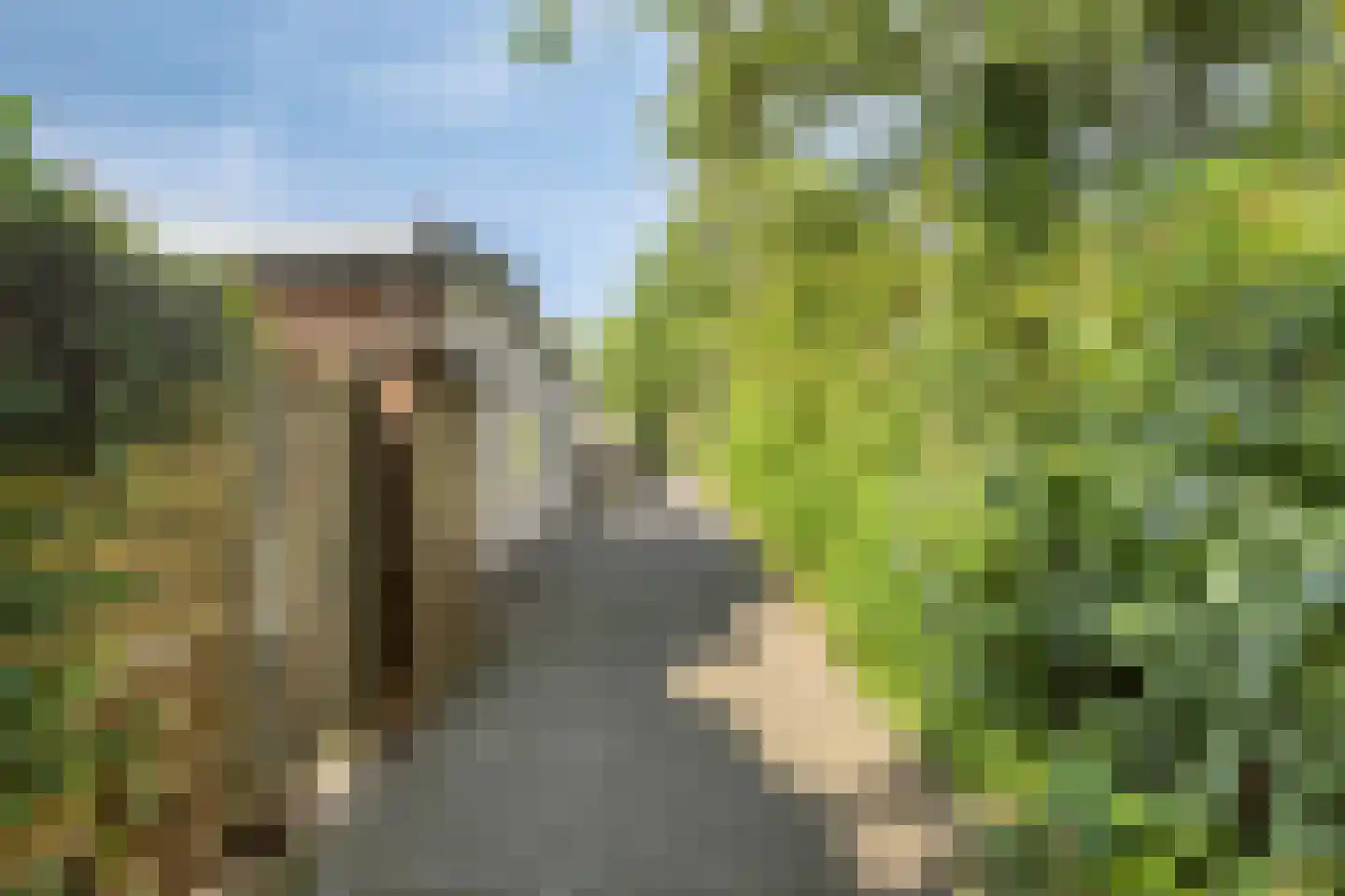 Plantage 36 Bruinisse thumbnail 7