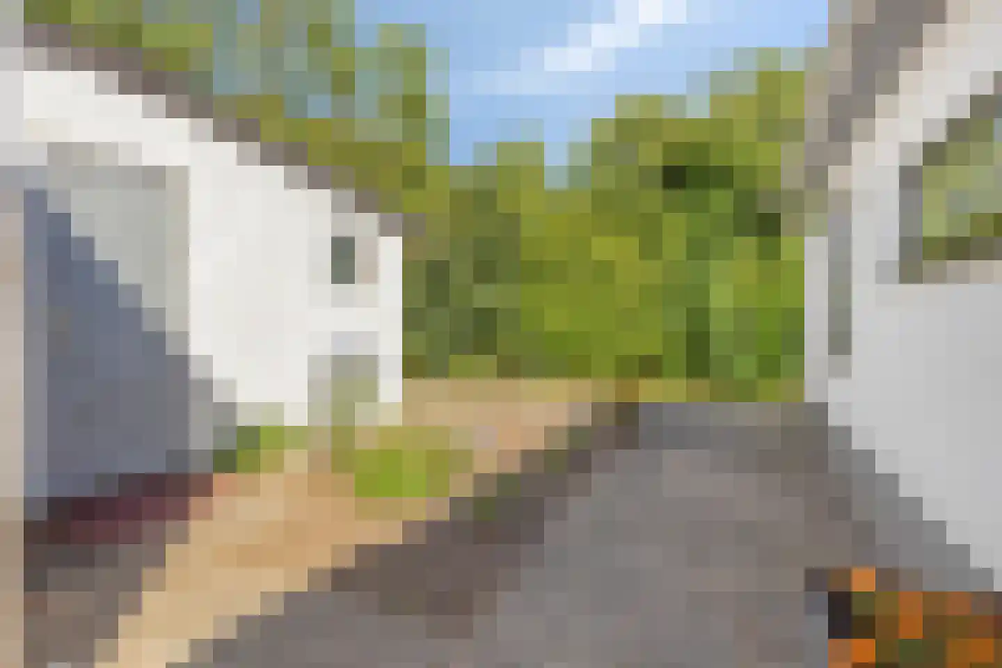 Plantage 36 Bruinisse thumbnail 9