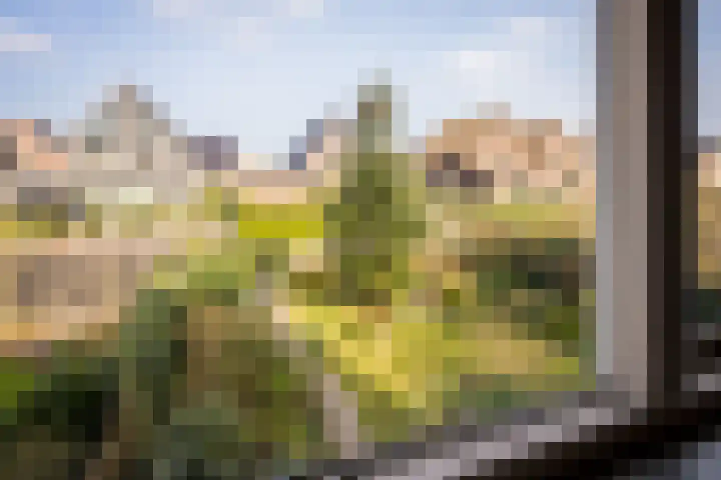 Plantage 39 Blokker thumbnail 29