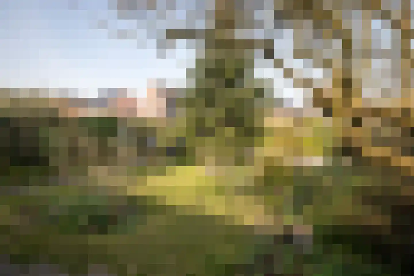 Plantage 39 Blokker thumbnail 35