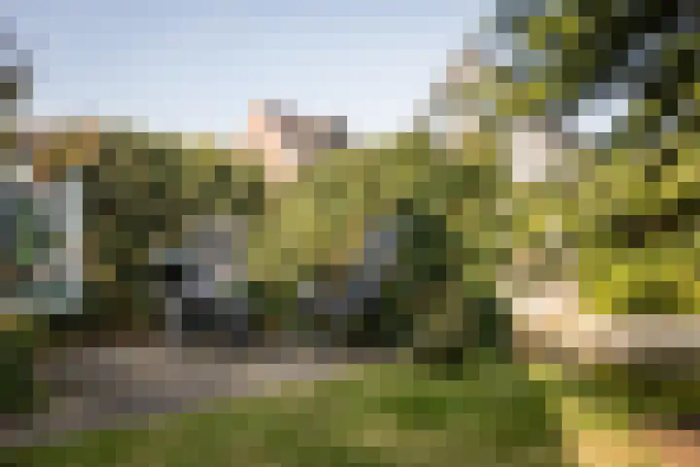 Plantage 39 Blokker thumbnail 36