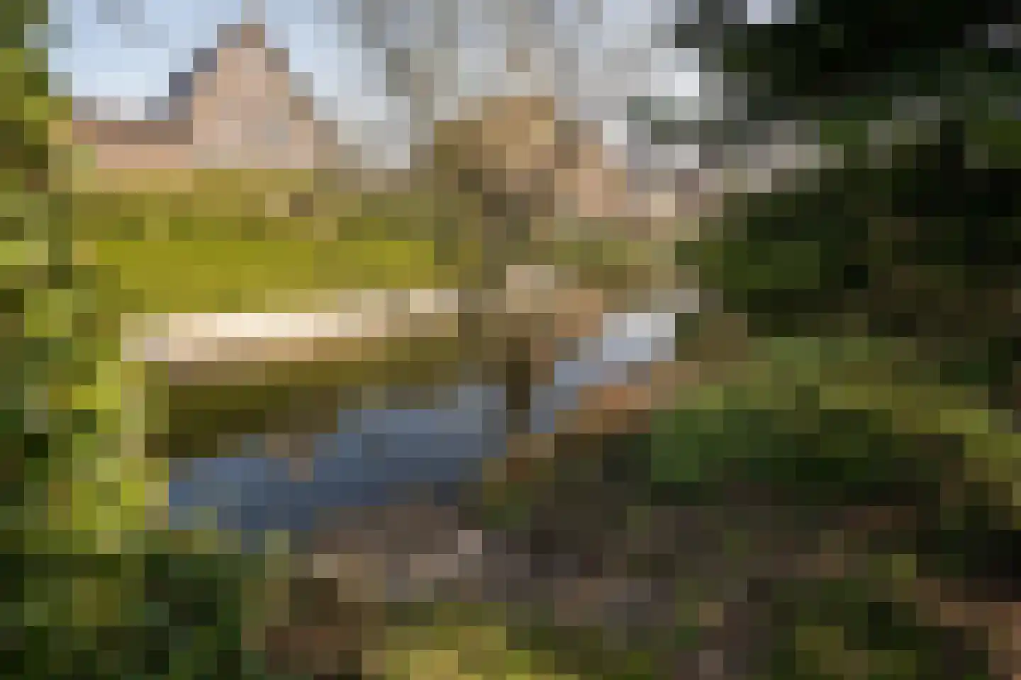 Plantage 39 Blokker thumbnail 37