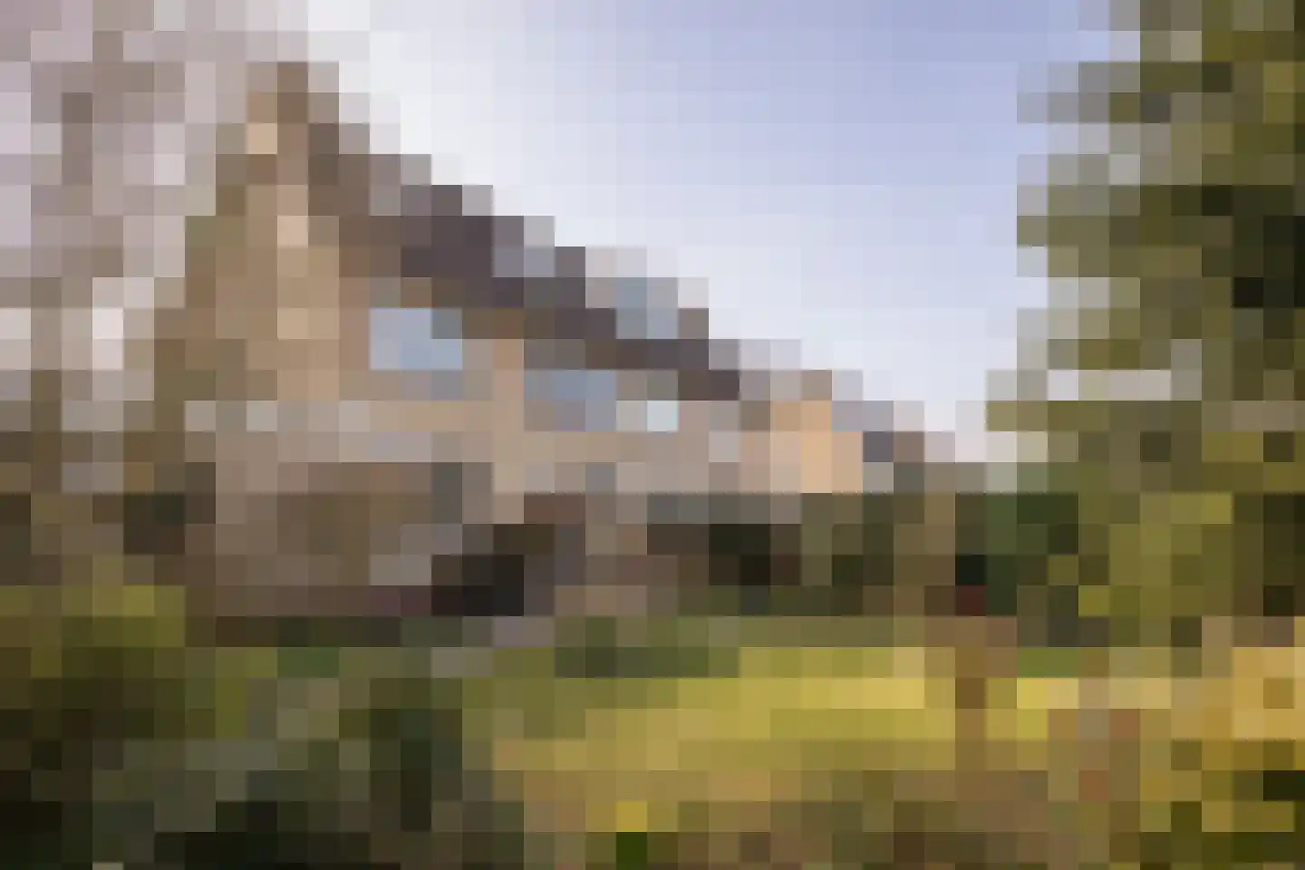 Plantage 39 Blokker thumbnail 40