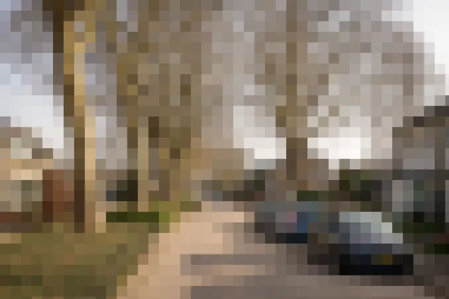 Plantage 39 Blokker thumbnail 43