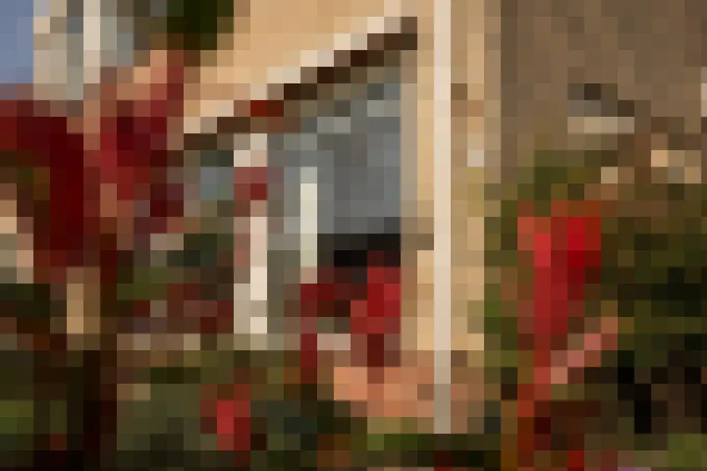 Plantage 39 Blokker thumbnail 6