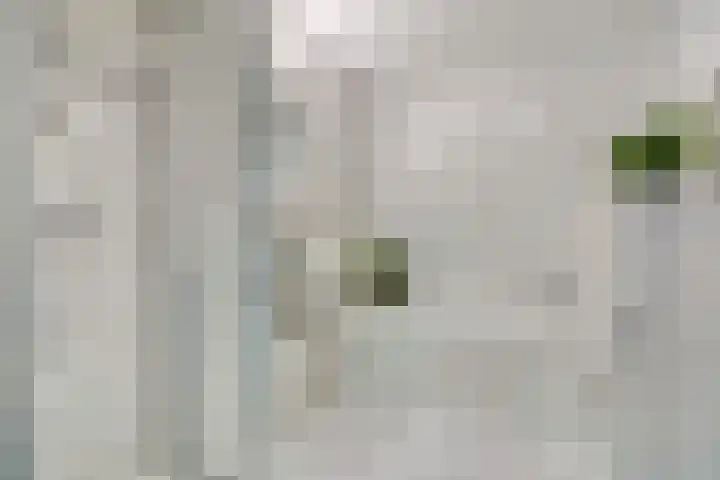 Plantage 4 Krimpen aan den IJssel thumbnail 21