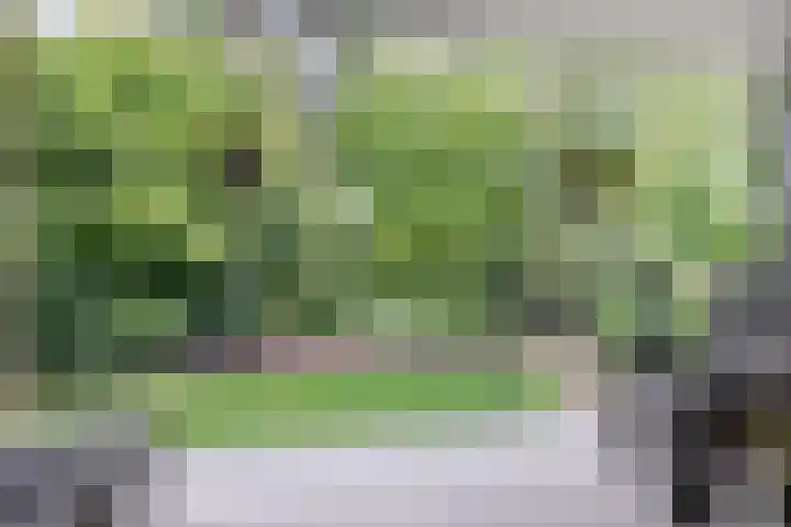 Plantage 4 Krimpen aan den IJssel thumbnail 23