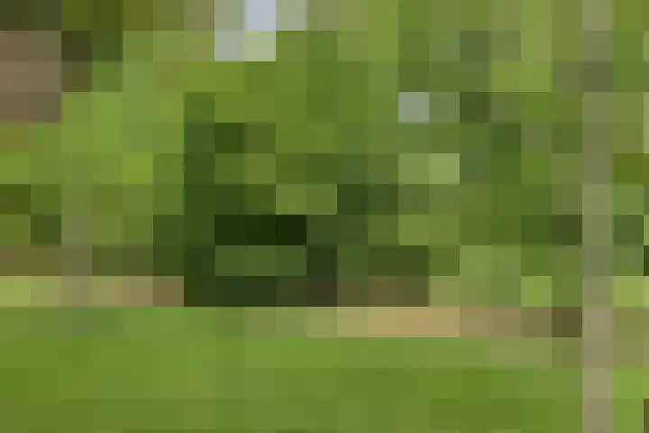 Plantage 4 Krimpen aan den IJssel thumbnail 24