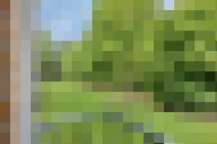 Plantage 4 Krimpen aan den IJssel thumbnail 25