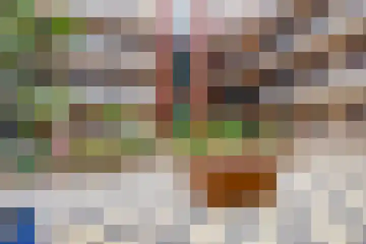 Plantage 4 Krimpen aan den IJssel thumbnail 26