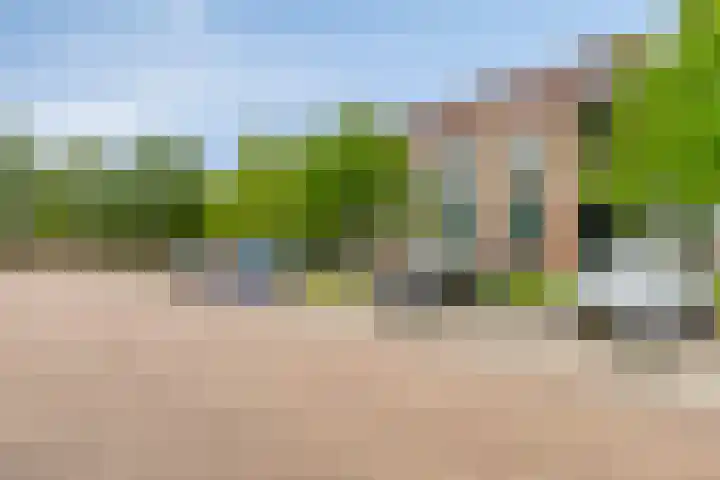 Plantage 4 Krimpen aan den IJssel thumbnail 31
